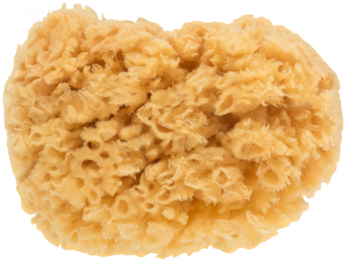 ГУБКА НАТУРАЛЬНАЯ МОРСКАЯ 10/11 см